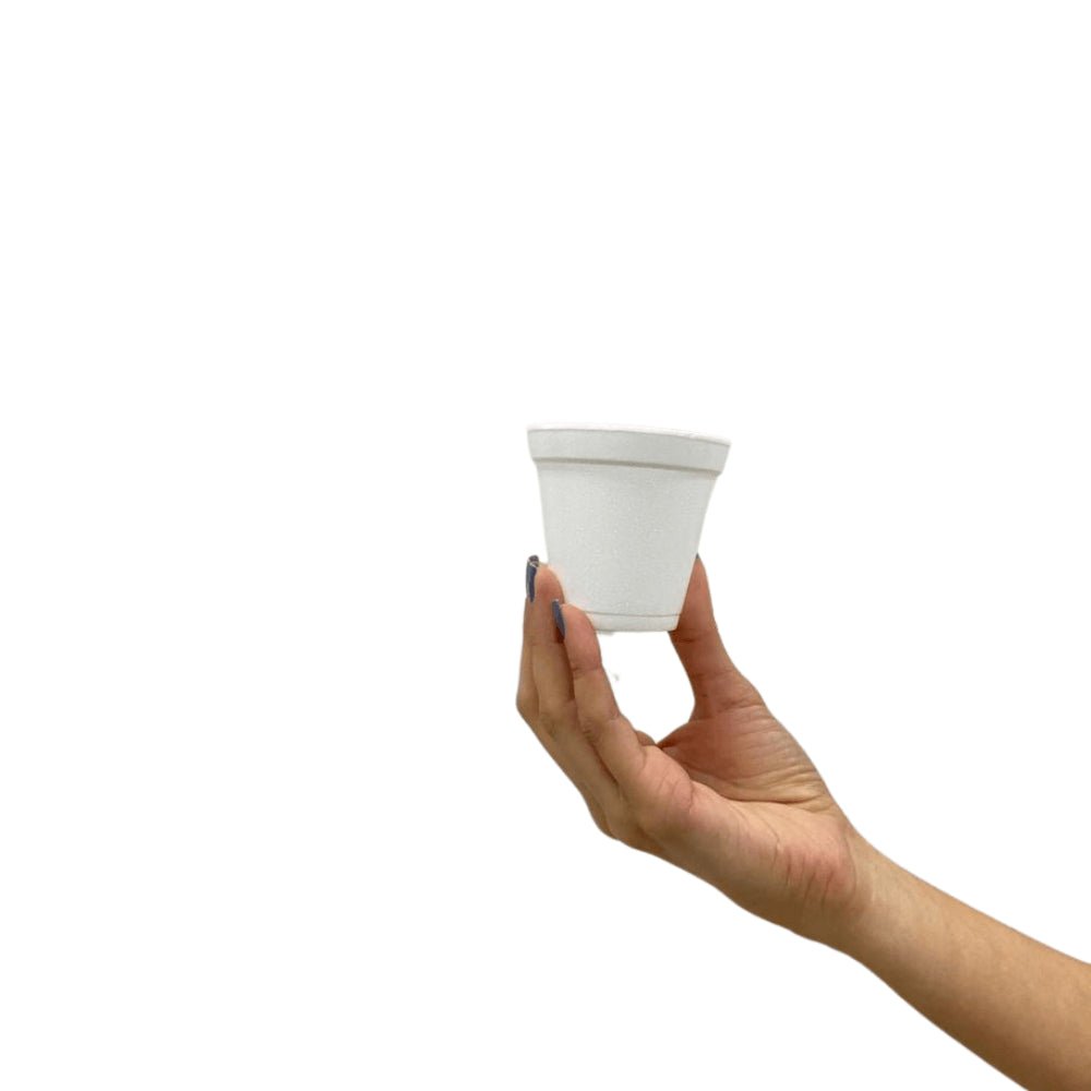 Copo de isopor Térmico 180ml Linha Replast Ultra com 1.000 Unidades - e - dona