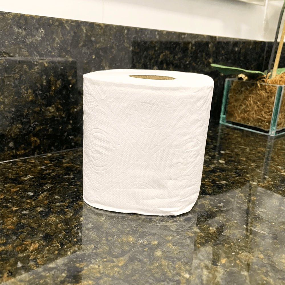 Kit 2 Pacotes de Papel Higiênico Folha Dupla Personal Vip com 4 Rolos de 30 Metros - e - dona