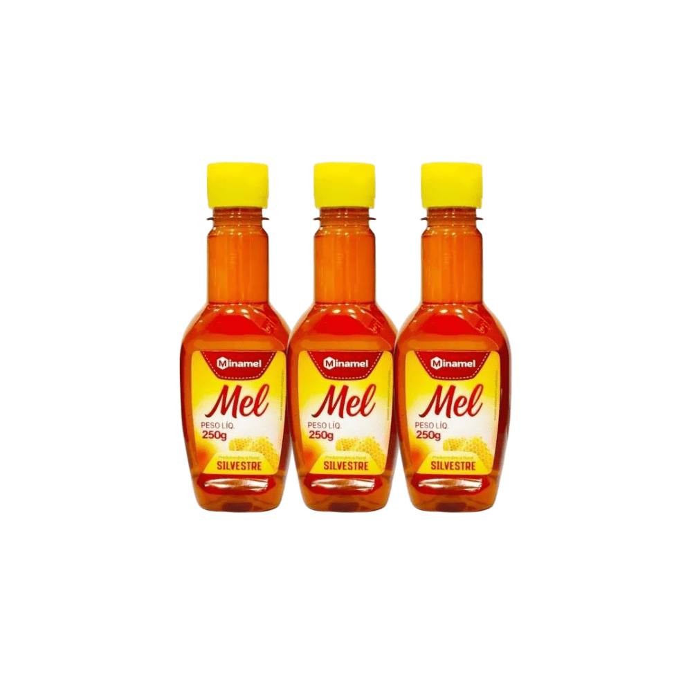 Kit 3 Mel Silvestre Bisnaga 250g Cada - e - dona