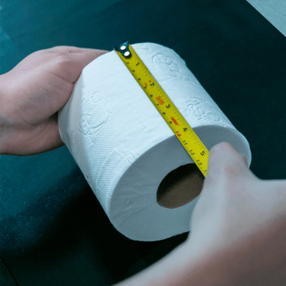 Papel Higiênico Folha Dupla Ness com 4 rolos de 30 metros - e - dona