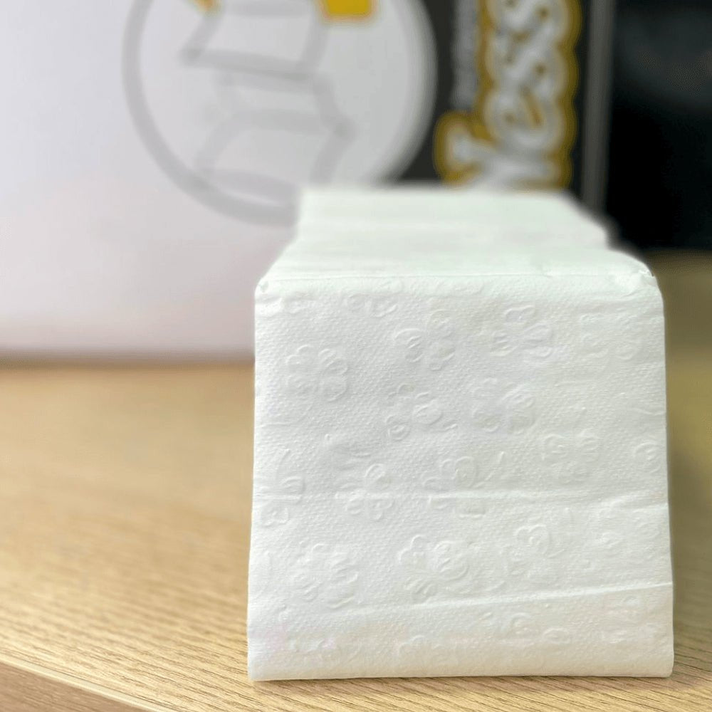 Papel Higiênico Interfolhado Cai - Cai folha dupla Ness com 6.000 folhas - e - dona