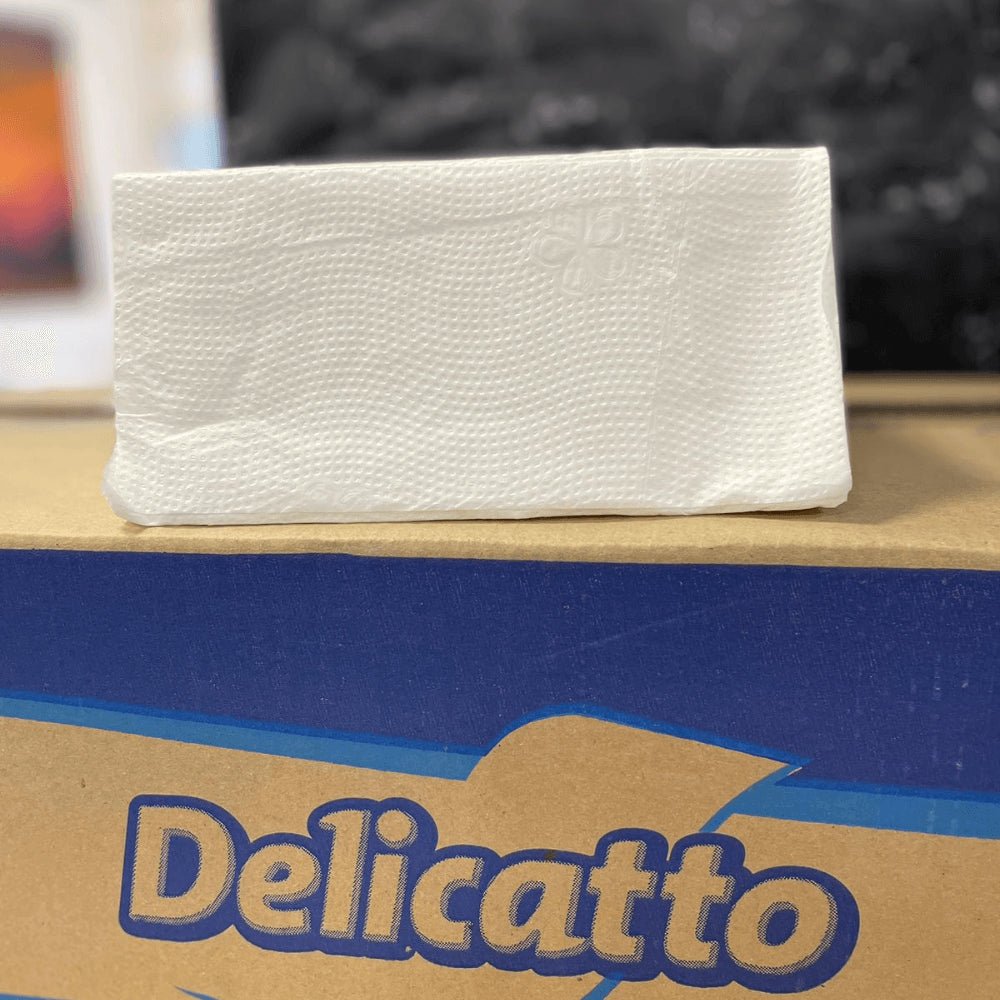 Papel Interfolha 100% celulose 20x20cm 2 dobras folha simples Delicatto com 4.800 unidades - e - dona