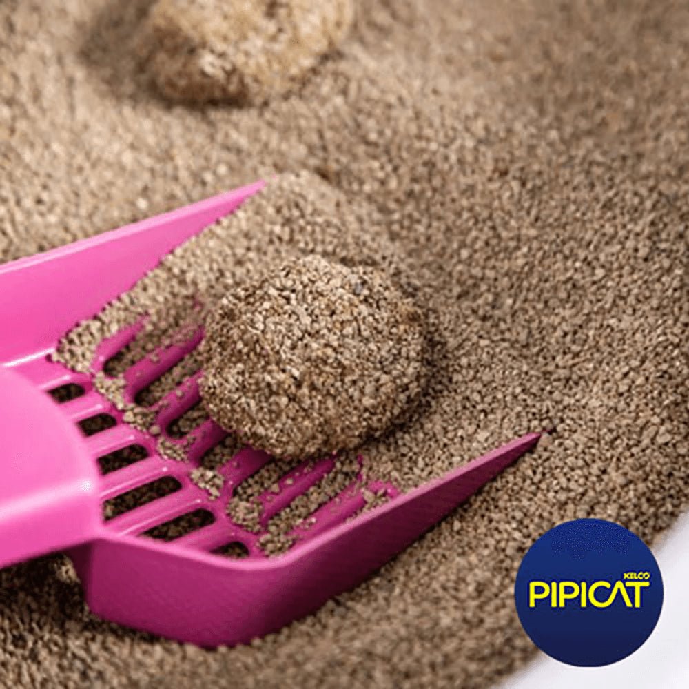 Areia Higiênica Sanitária para Gatos Floral Pipicat 4kg - e - dona