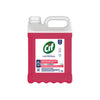 Desinfetante Concentrado Floral 5 Litros CIF