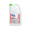 DESINFETANTE P/HORTIFRUT 5L