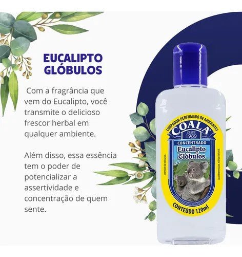 Essência Concentrado Eucalipto Glóbulos Coala 120ml com 3 unidades - e - dona
