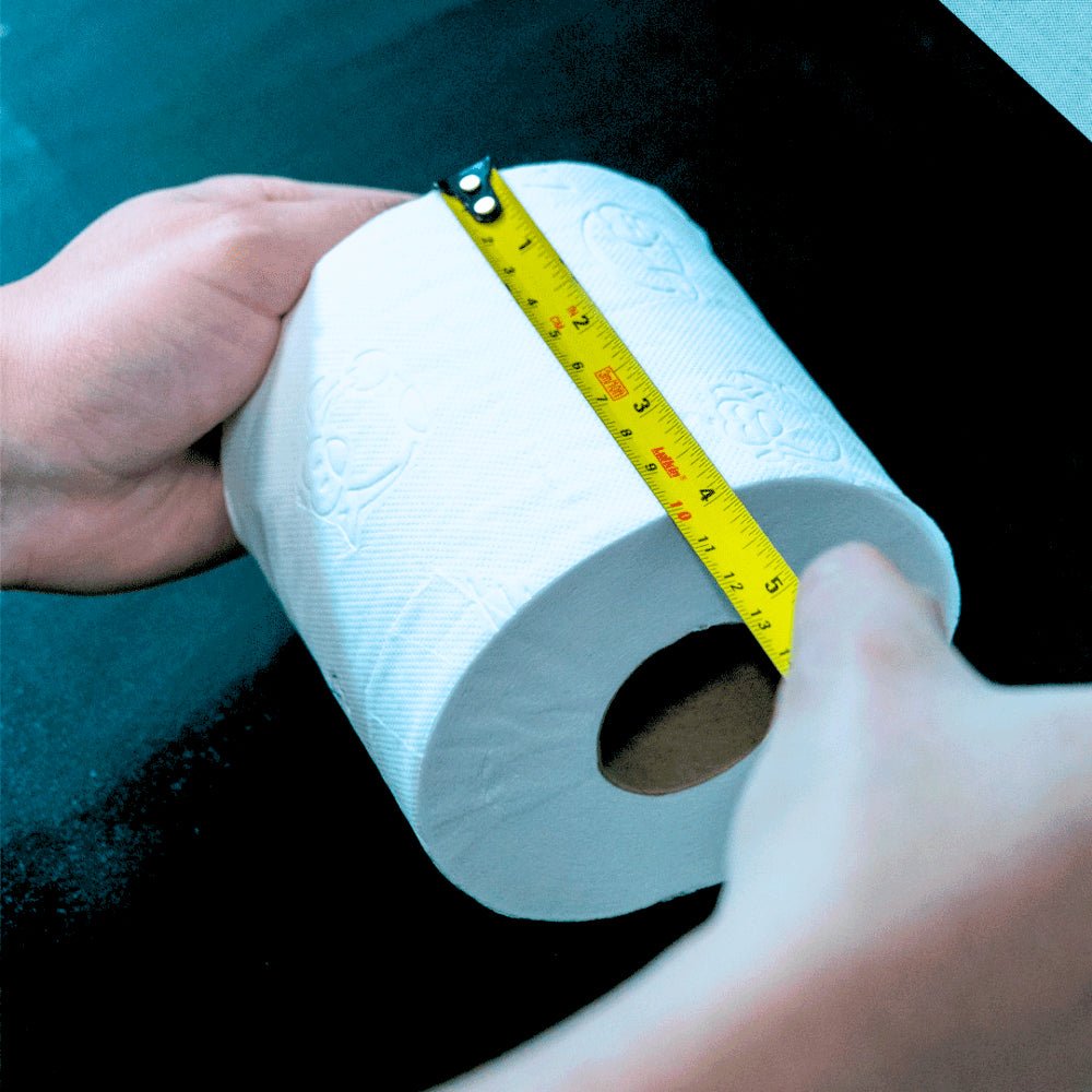 Kit 2 Pacotes de Papel Higiênico Folha Dupla Ness com 4 rolos de 30 metros - e - dona