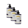 Kit com 3 Sabonetes Líquidos 500ml Orquídea Negra Coala