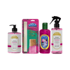 Kit Flor de Cacto Coala