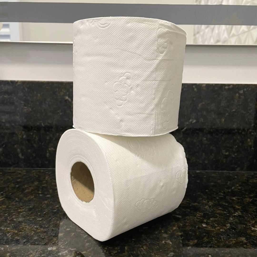 Papel higiênico Folha Dupla Fofinho 24 pacotes com 4 rolos de 30 metros cada - e - dona