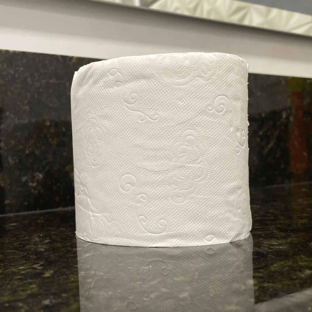 Papel Higiênico Folha Dupla Fofinho Absolute com 4 rolos de 30 metros - e - dona
