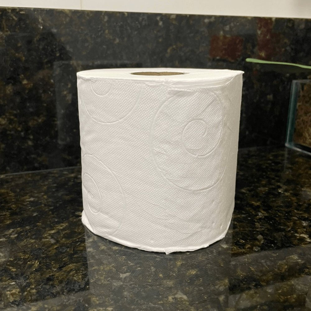 Papel higiênico Folha Dupla Neve fardo 16 pacotes com 4 rolos 30 metros - e - dona