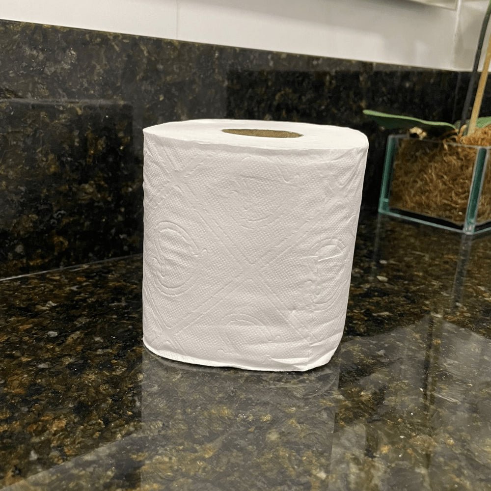 Papel Higiênico Folha Dupla Personal Vip pacote com 4 rolos de 30 metros - e - dona