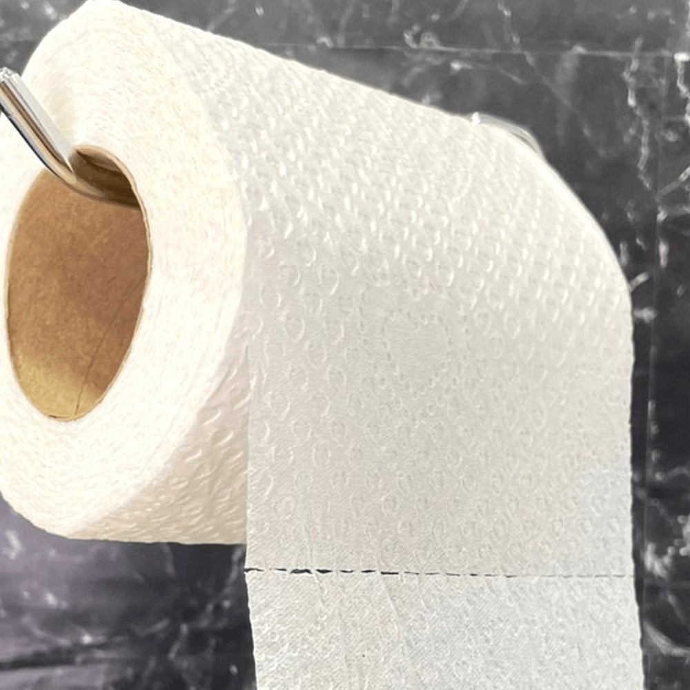 Papel Higiênico Folha Simples Personal com 15 pacotes com 4 rolos de 30 metros - e - dona