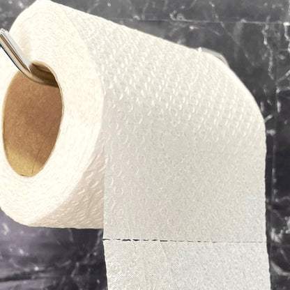 Papel Higiênico Folha Simples Personal com 15 pacotes com 4 rolos de 30 metros - e - dona