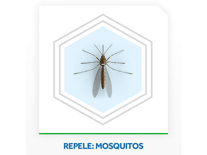 Repelente Elétrico + refil 45 noites Raid 1 unidade - e - dona
